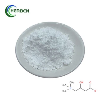 Pi L Carnitine Powder